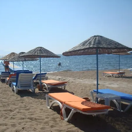 Daire Sea&you *